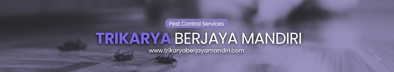 Sub Header Trikarya Berjaya Mandiri-min