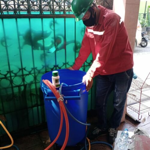 treatment anti rayap img 3