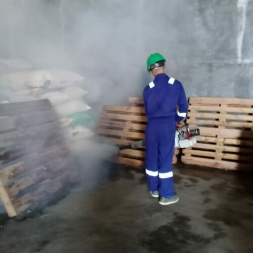treatment fogging img 3