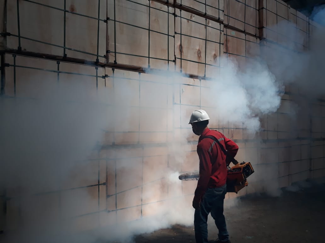 Treatment Fogging